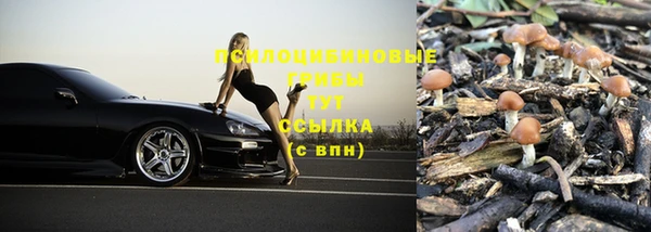 трава Медвежьегорск