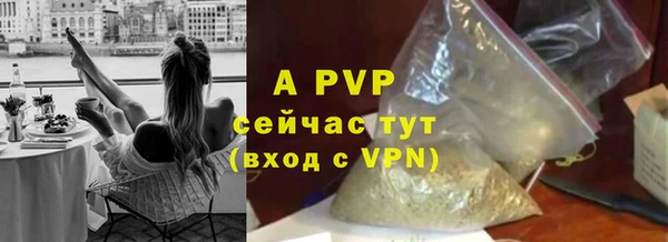 трава Медвежьегорск