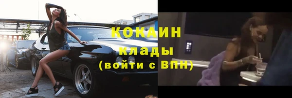 трава Медвежьегорск