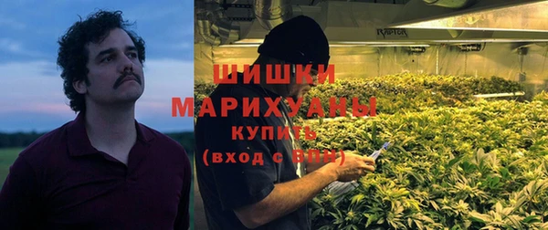 трава Медвежьегорск