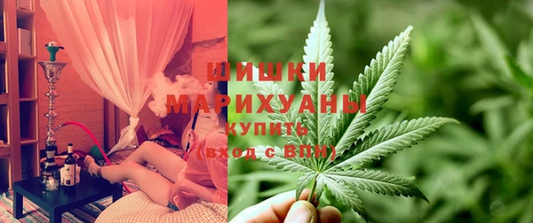 трава Медвежьегорск